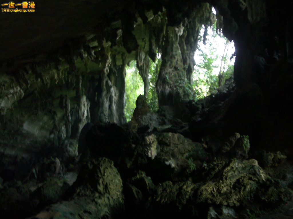 IMGP1239.JPG