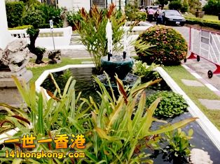 photo.jpg