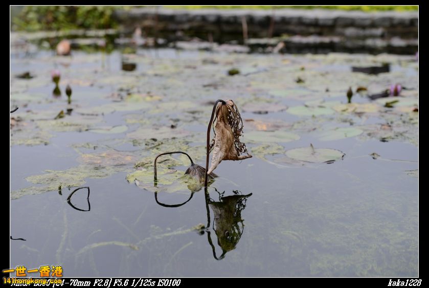nEO_IMG_DSC_0906.jpg