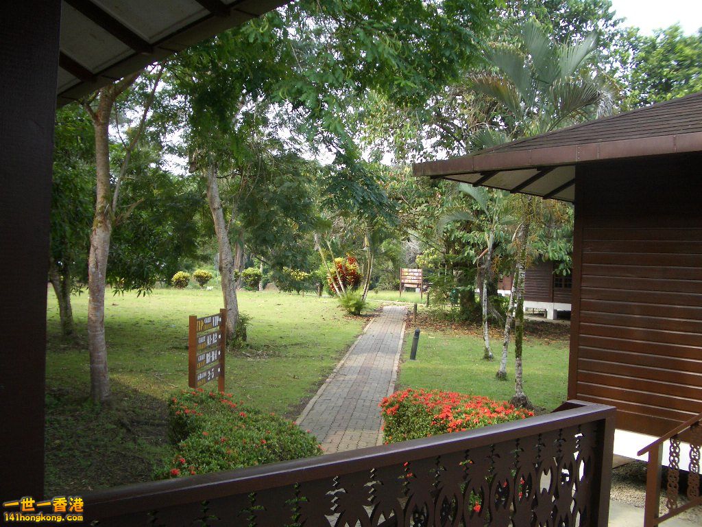 IMGP1237.JPG
