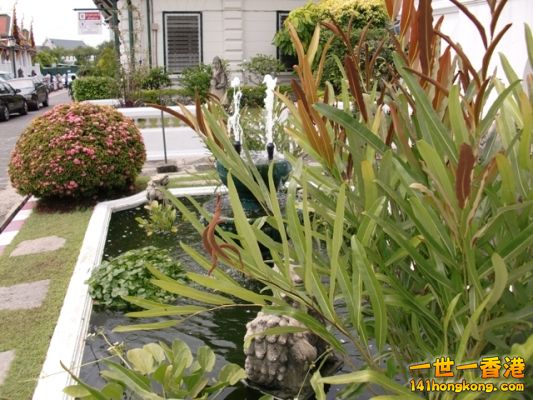 photo.jpg