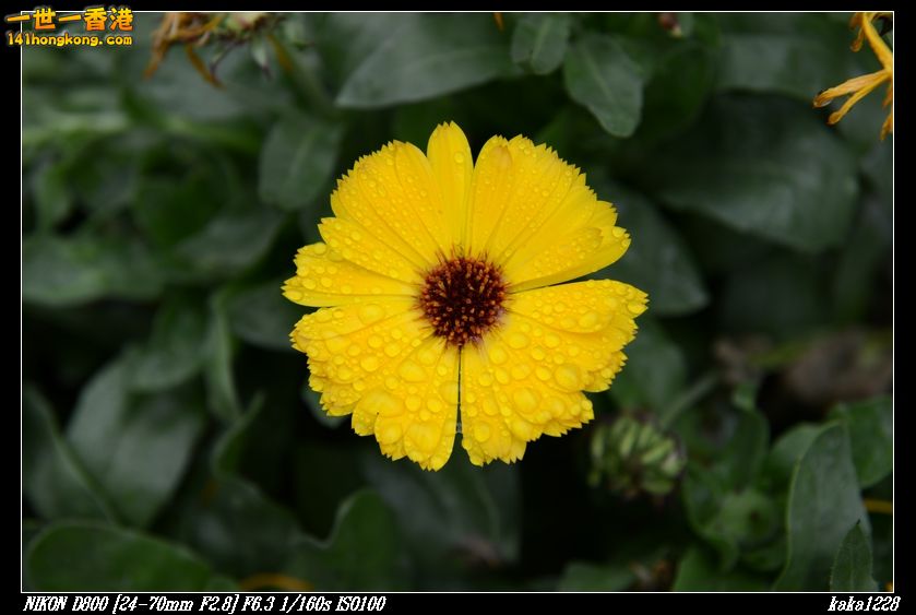 nEO_IMG_DSC_0899.jpg