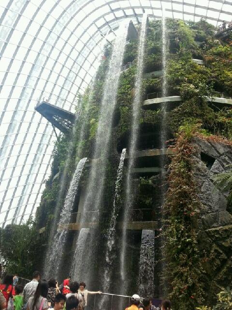 IMG-20130401-WA0005.jpg