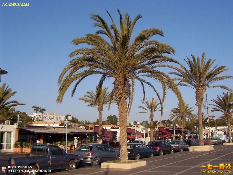 Kingdom of Morocco  摩洛哥王國    -   3.jpg