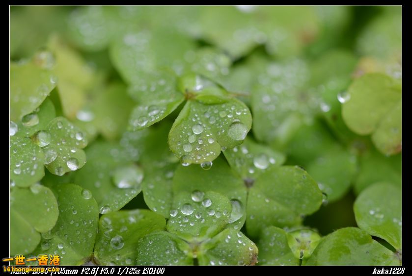nEO_IMG_DSC_0890.jpg