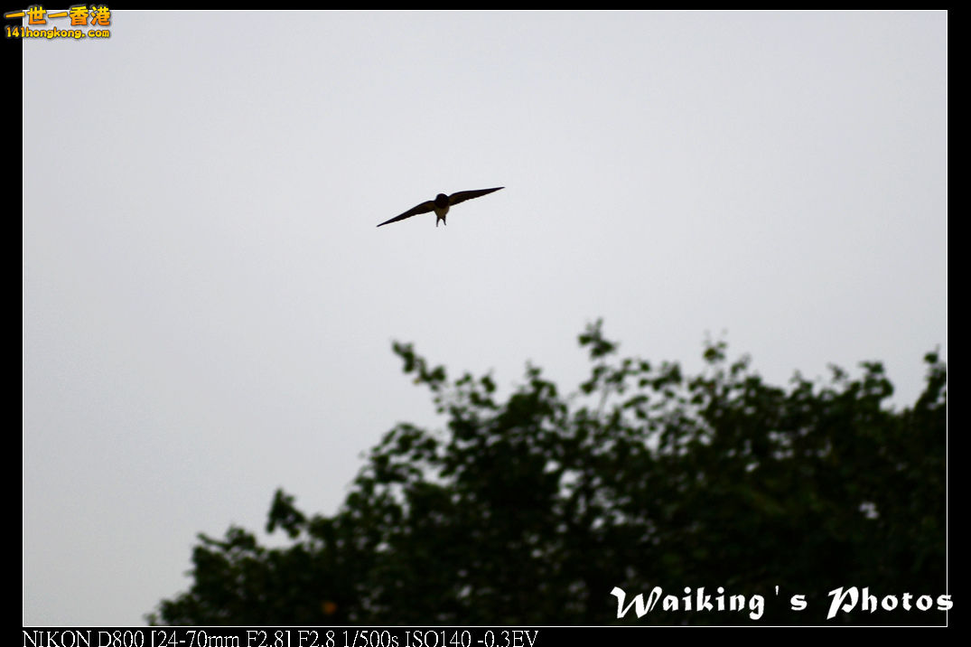 DSC_3659.jpg