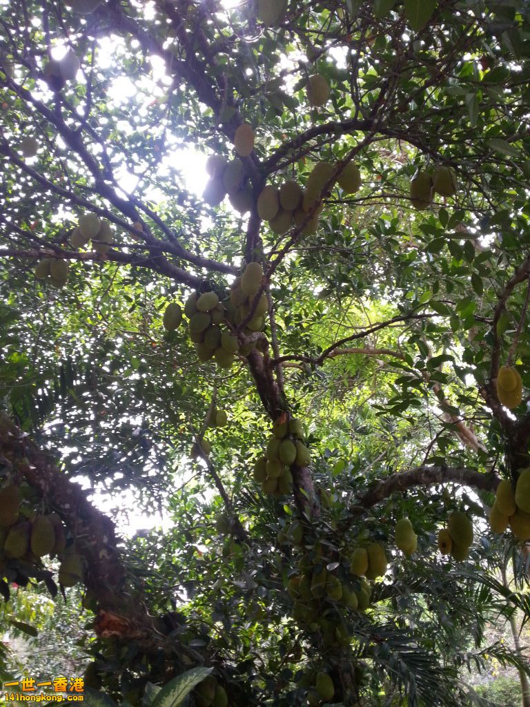 20130428_104416.jpg