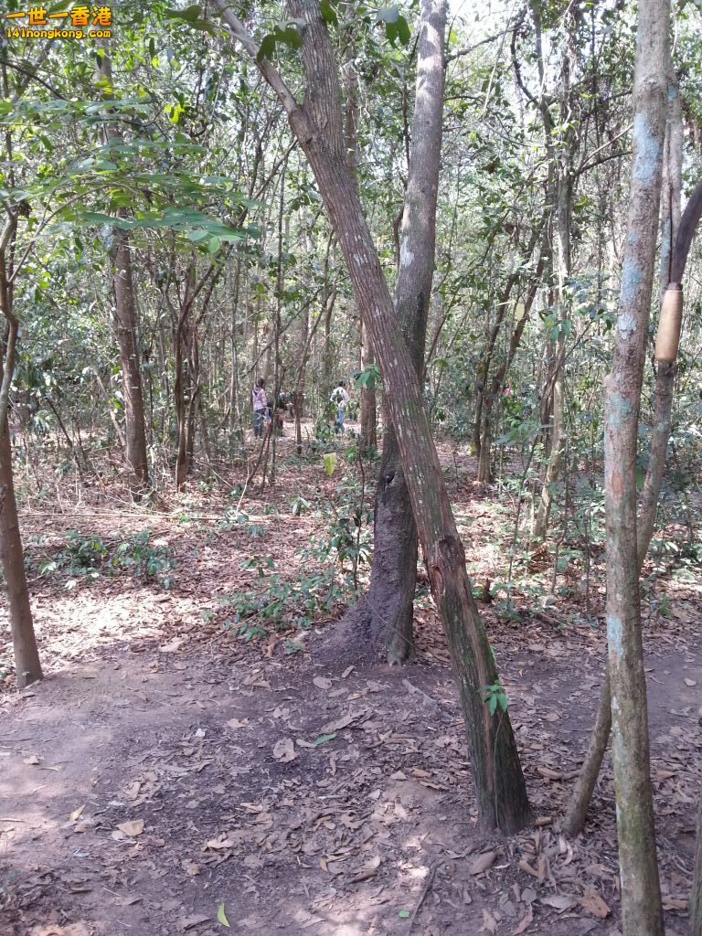 20130428_111022.jpg