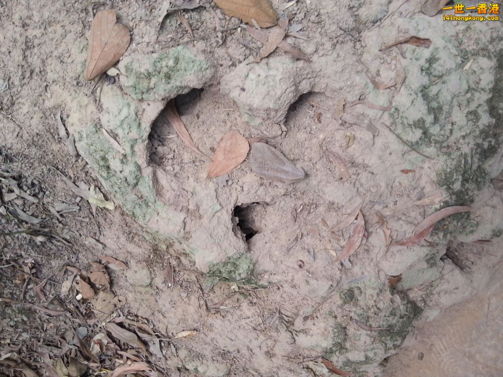 20130428_111557.jpg