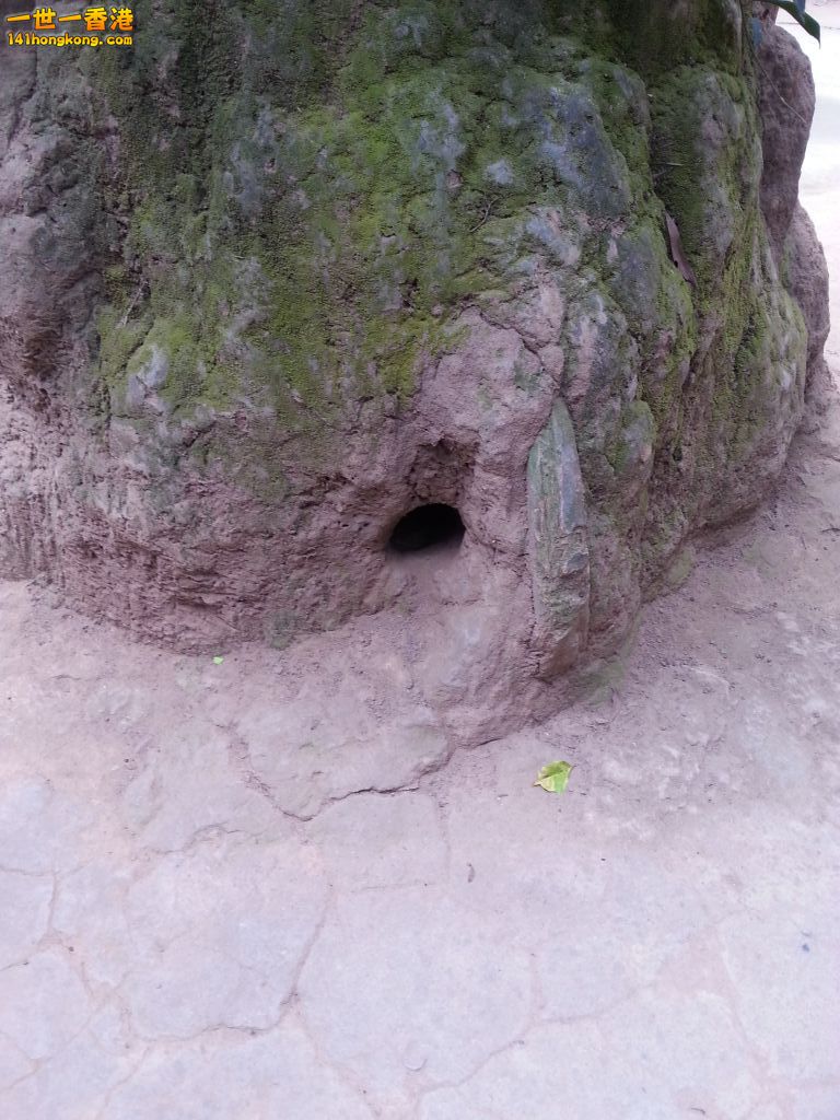 20130428_112828.jpg