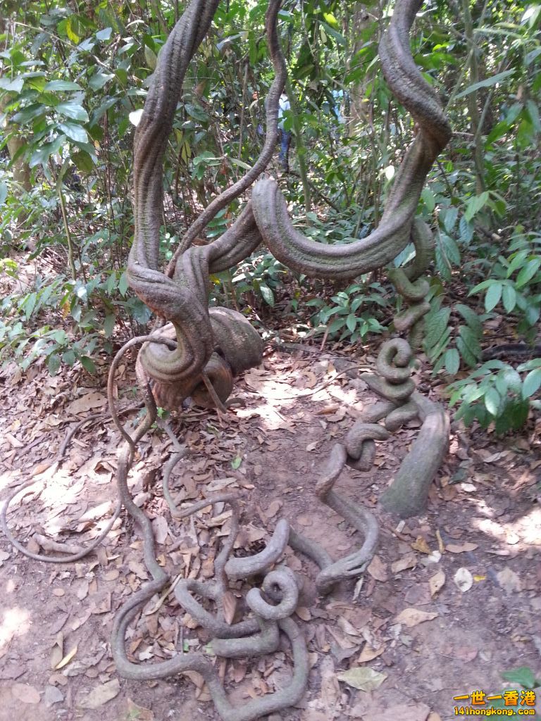 20130428_122135.jpg