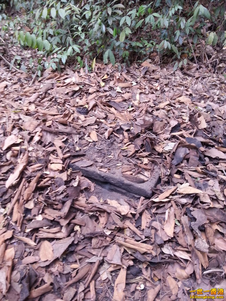 20130428_122411.jpg