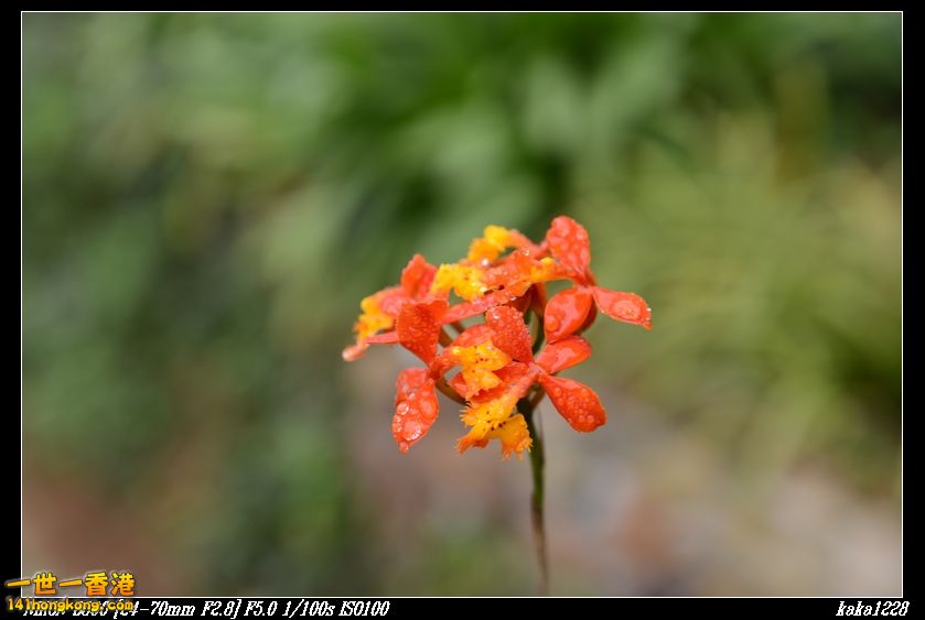 nEO_IMG_DSC_0893.jpg