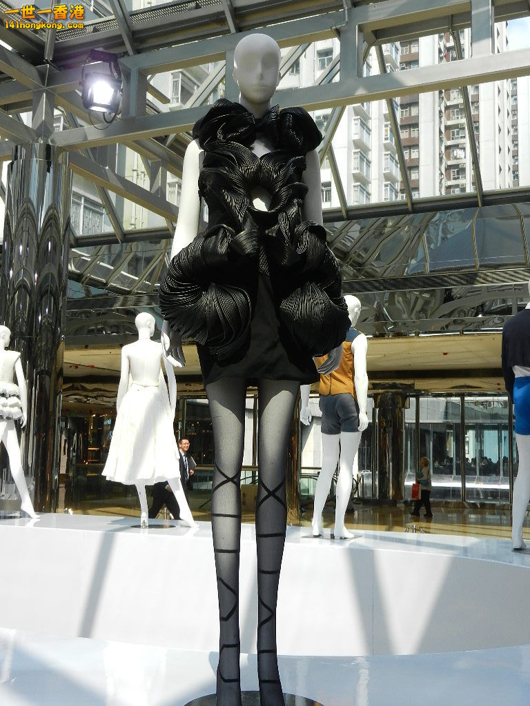 DSCN4279.JPG