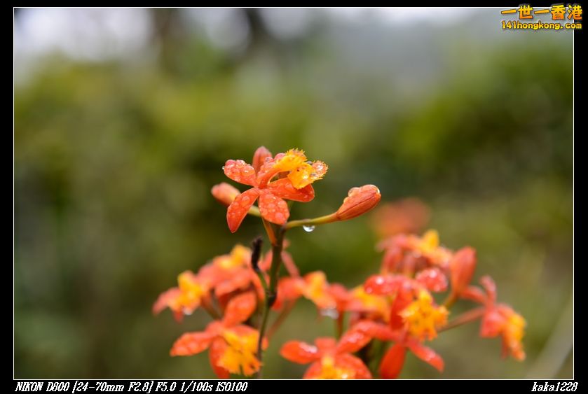 nEO_IMG_DSC_0892.jpg