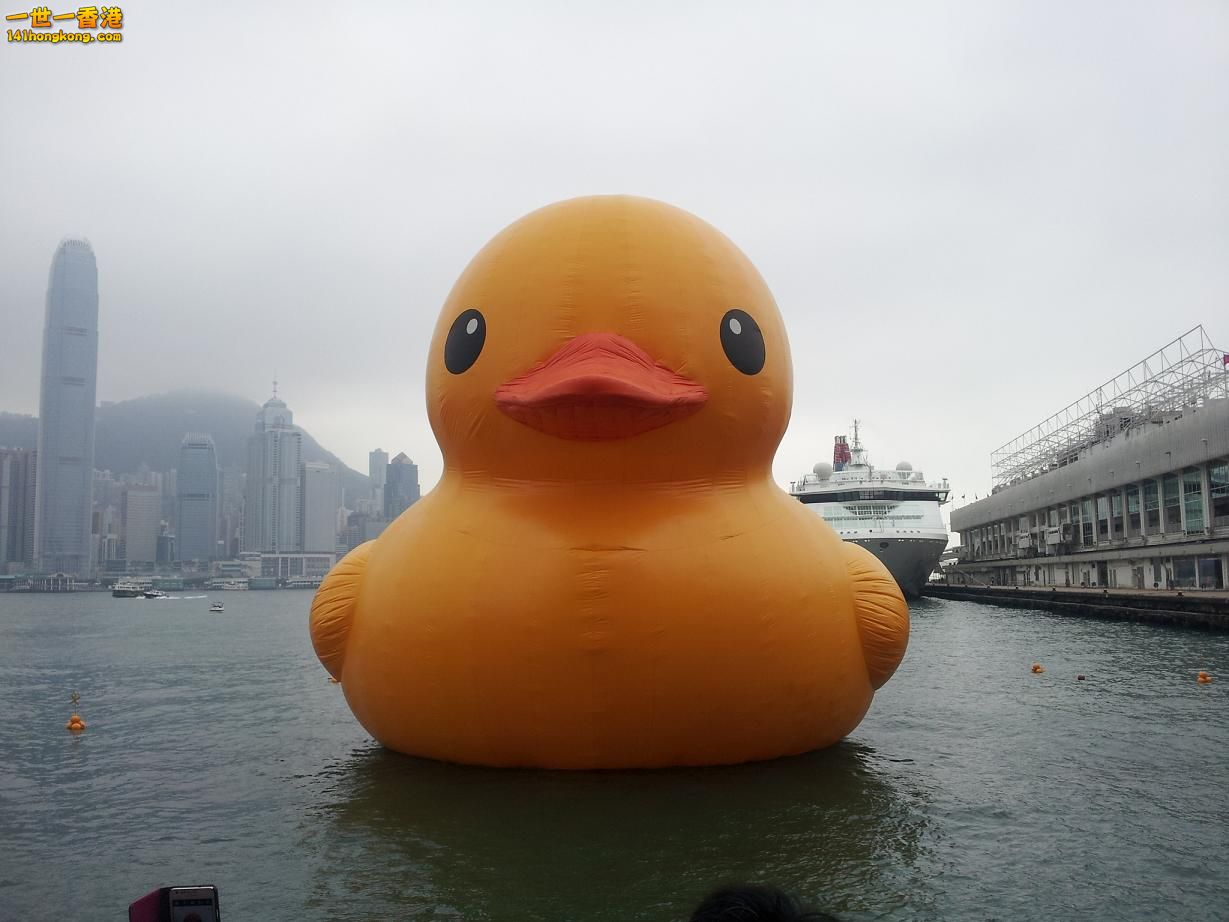 20130505_154407.jpg