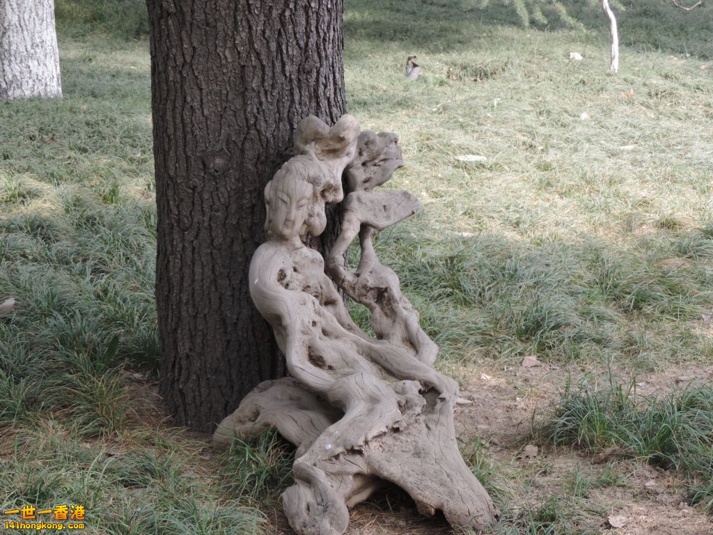 (42).JPG