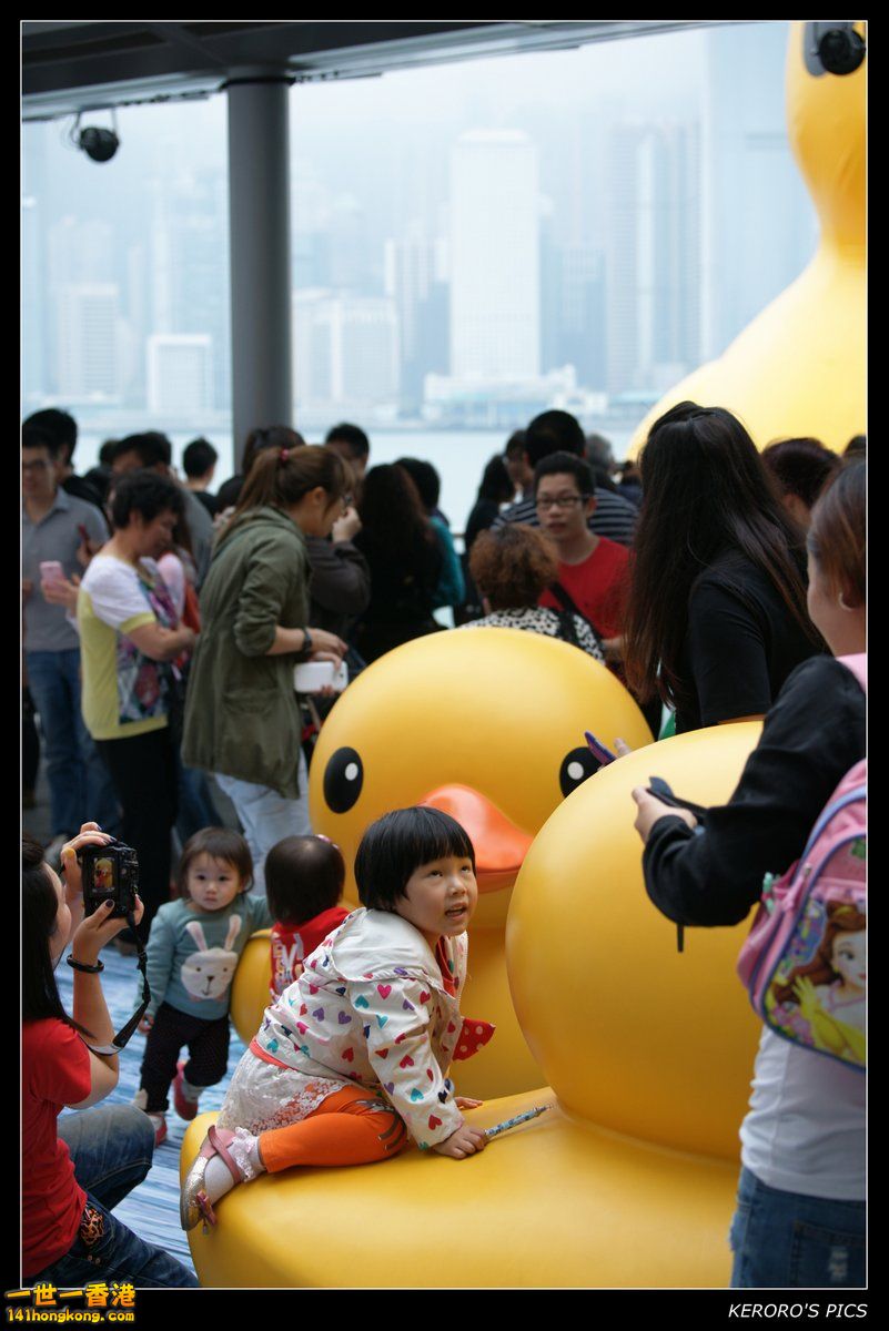 DSC03615K.jpg