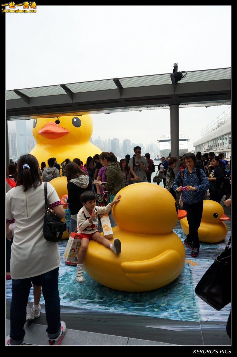 DSC08794K.jpg