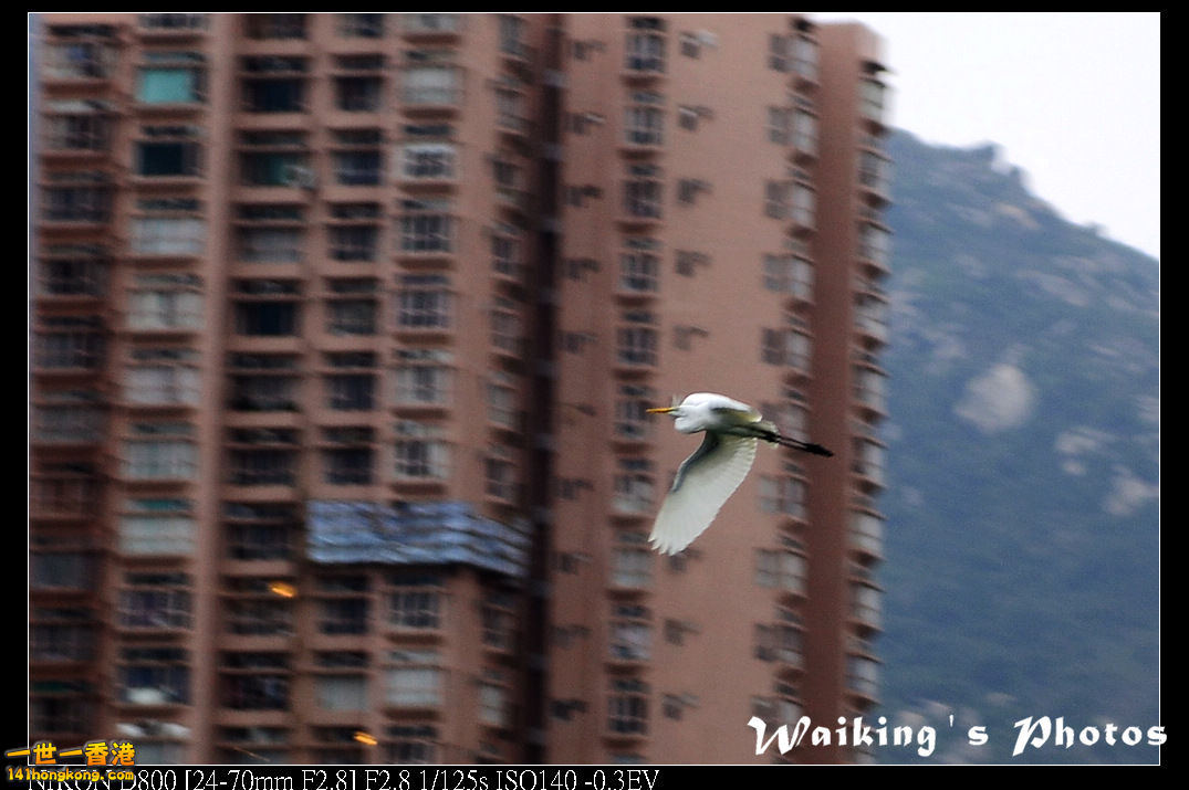 DSC_3673.jpg