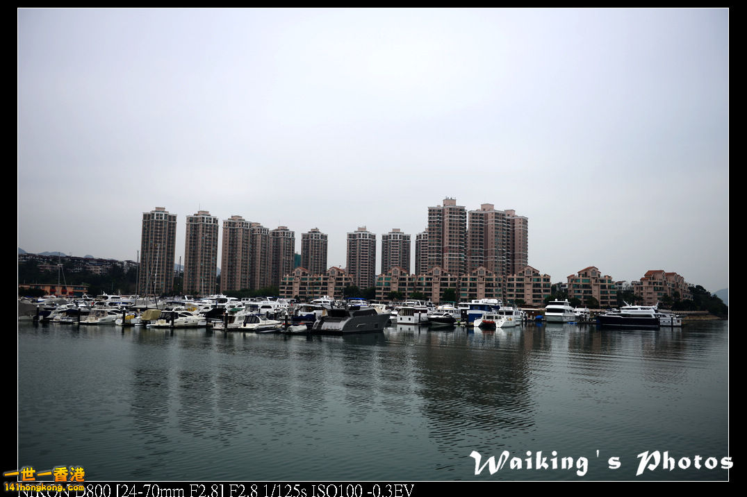 DSC_3676.jpg