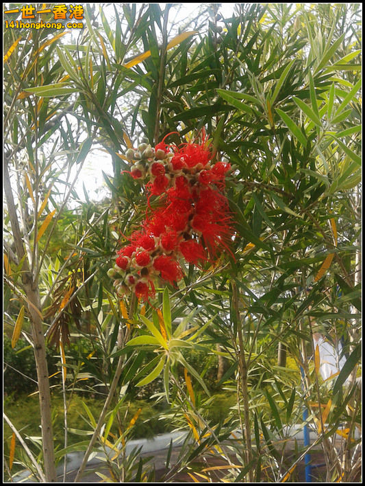 201300511.jpg