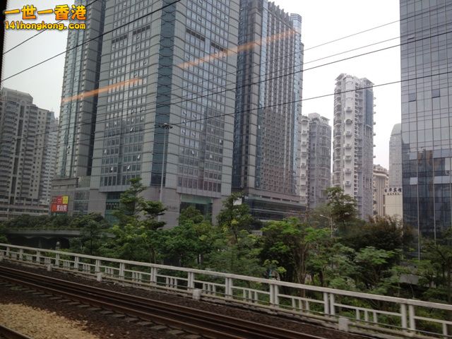 photo.jpg
