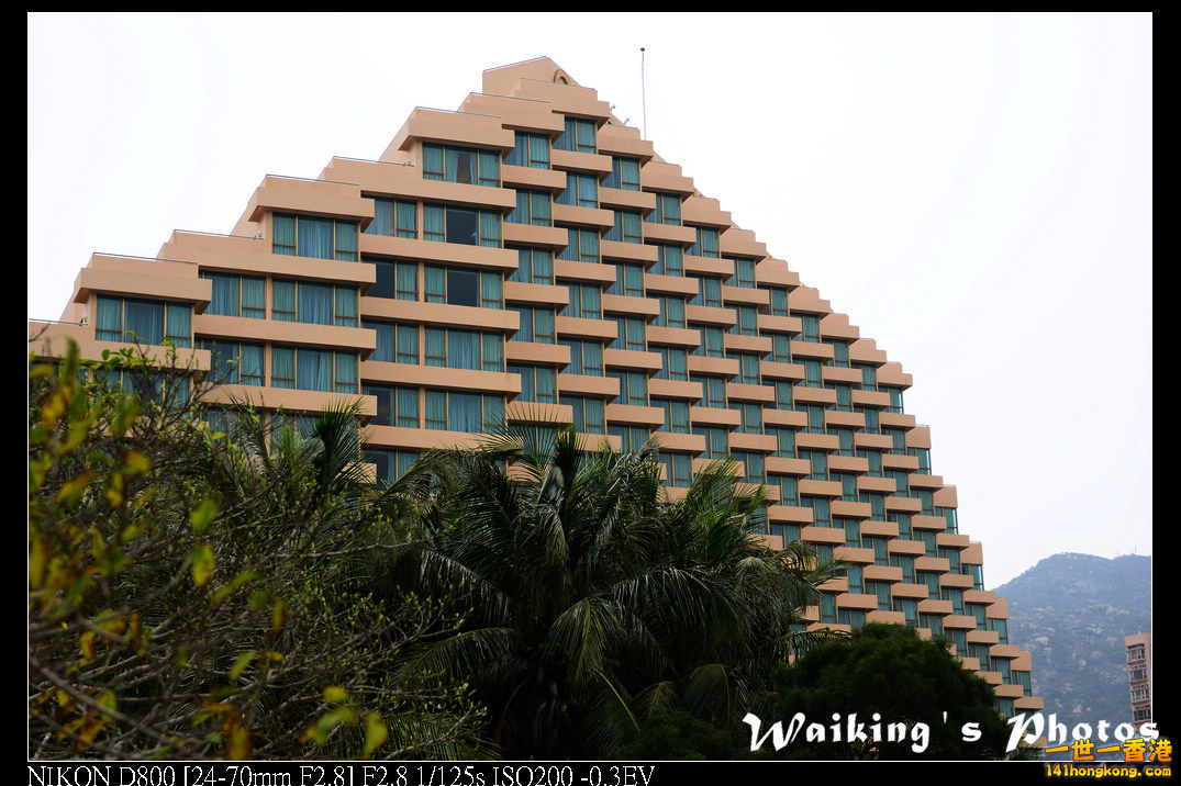 DSC_3677.jpg