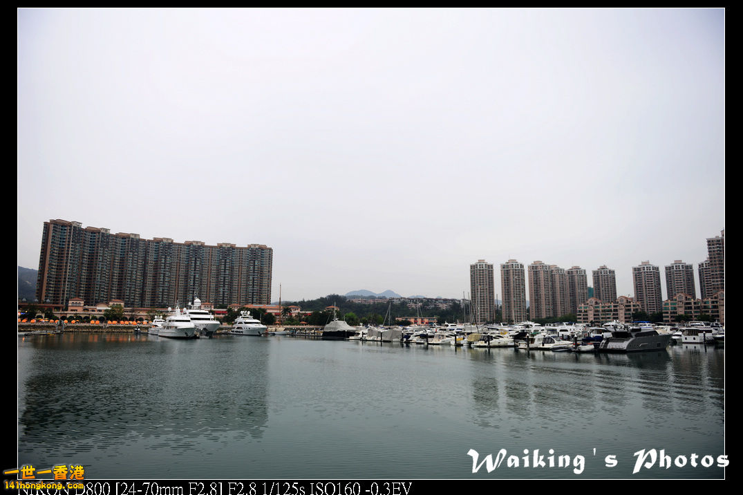 DSC_3679.jpg
