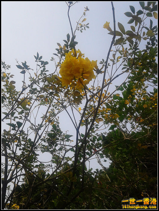 20130316_143537.jpg