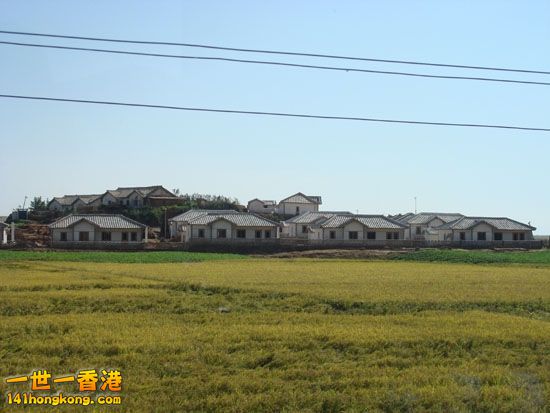 社会主义新农村，挺好的