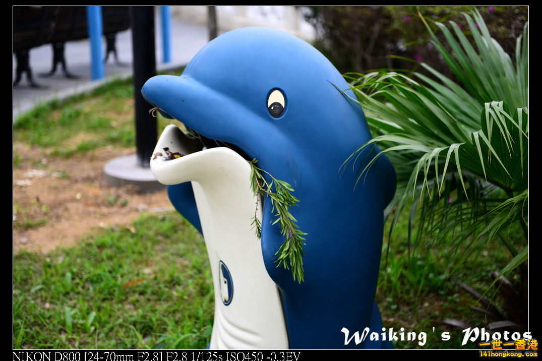 DSC_3680.jpg
