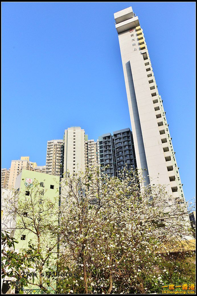 DSC_1936.jpg
