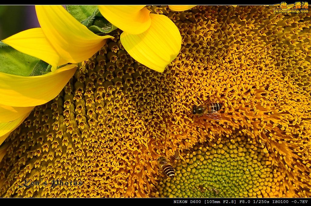 DSC_2783.jpg