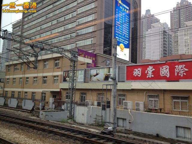 photo.jpg
