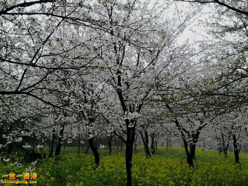 20130515.jpg