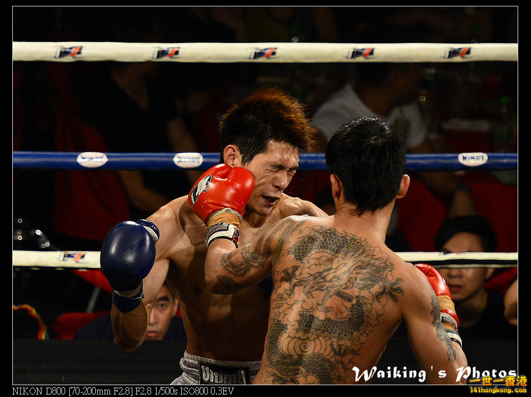 DSC_4565.jpg