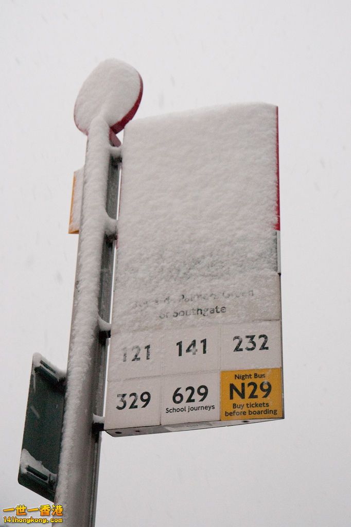 bus stop 141.jpg