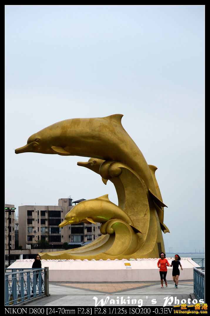 DSC_3685.jpg