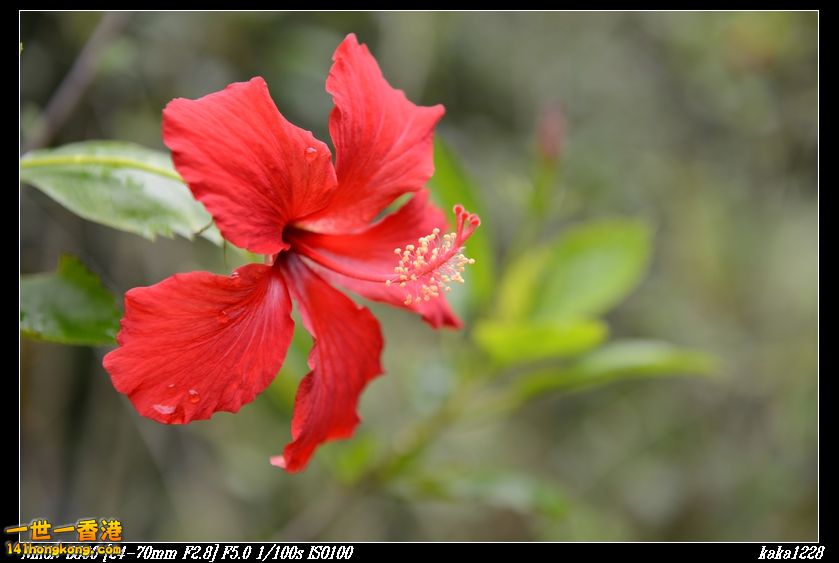 nEO_IMG_DSC_0949.jpg