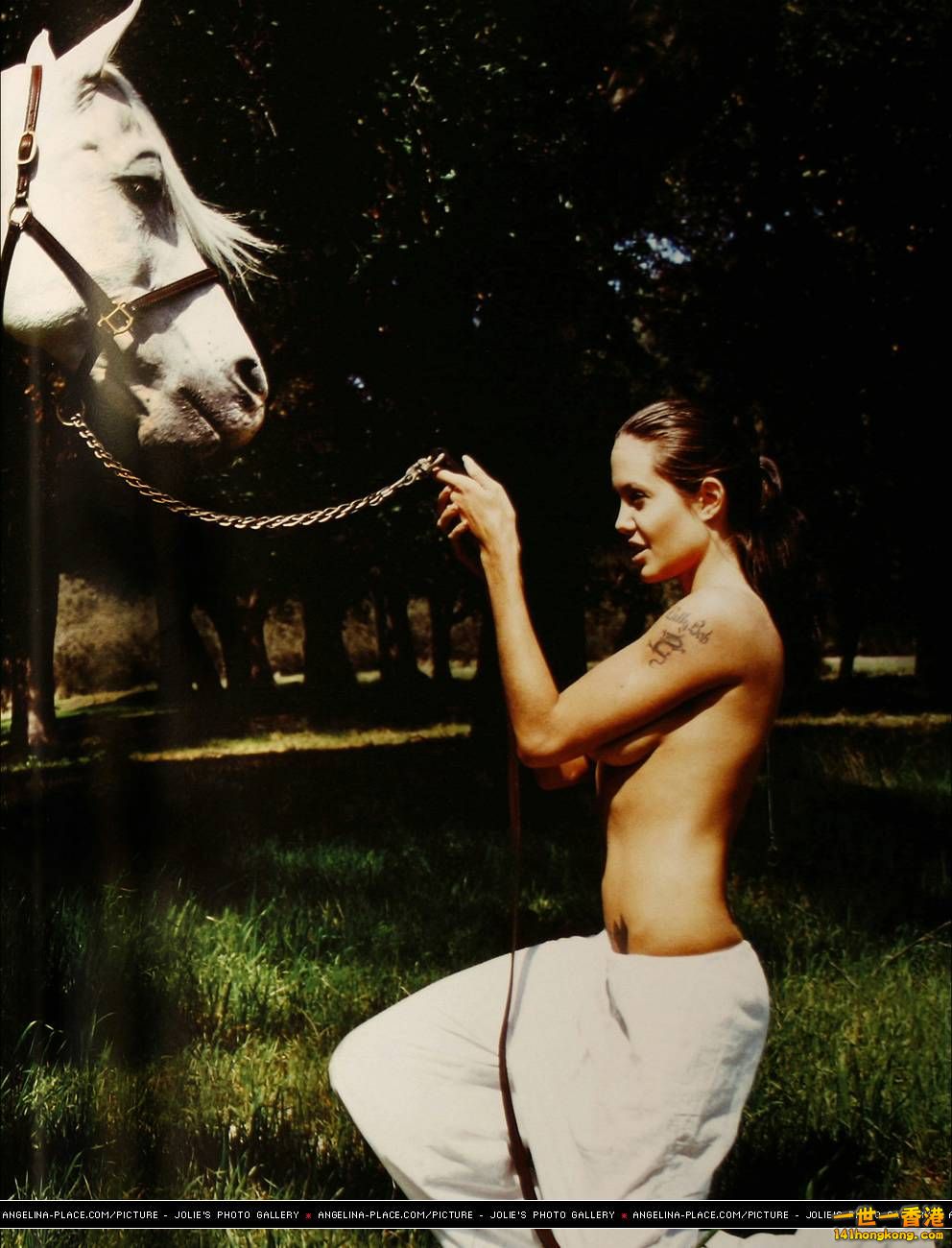 Angelina Jolie 11.jpg