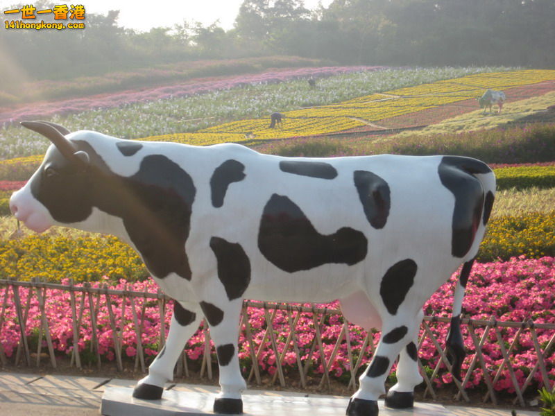 IMG_1954_调整大小.JPG