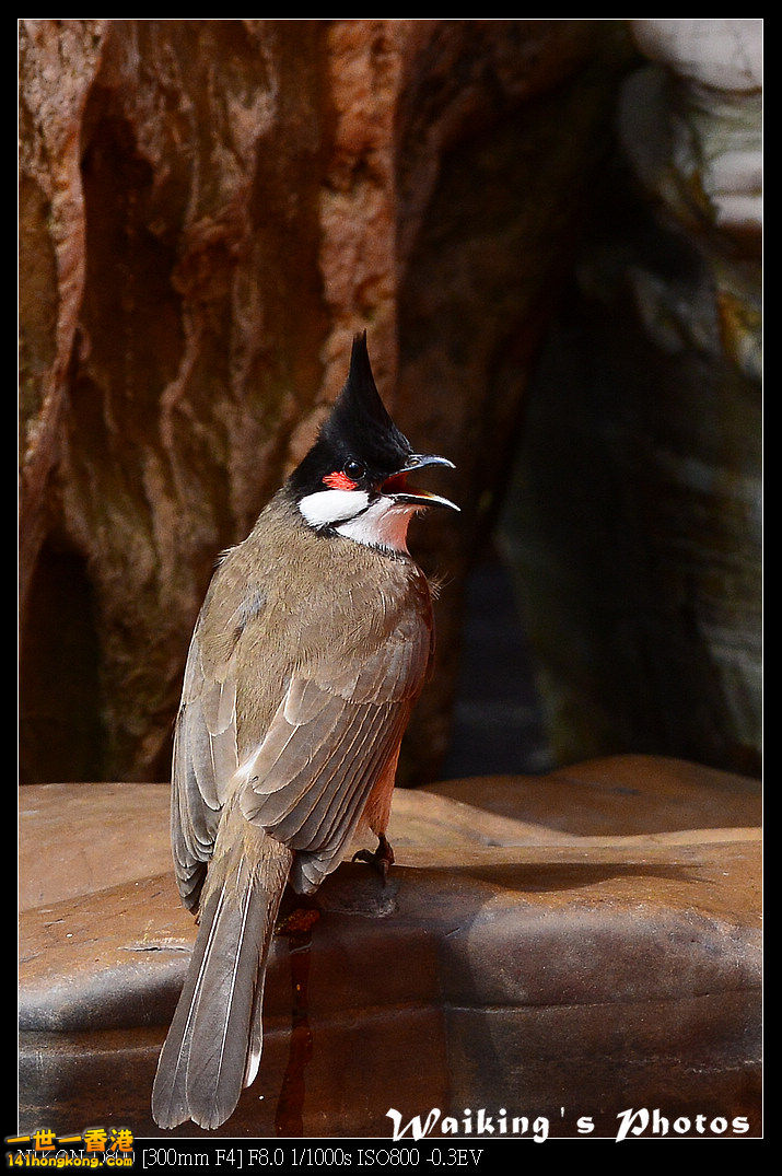 DSC_6410.jpg