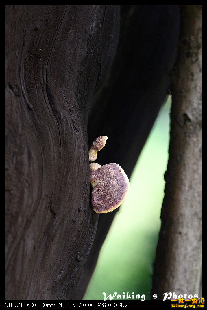 DSC_6426.jpg