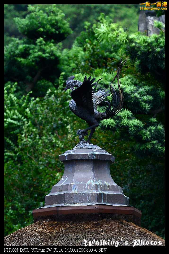DSC_6427.jpg