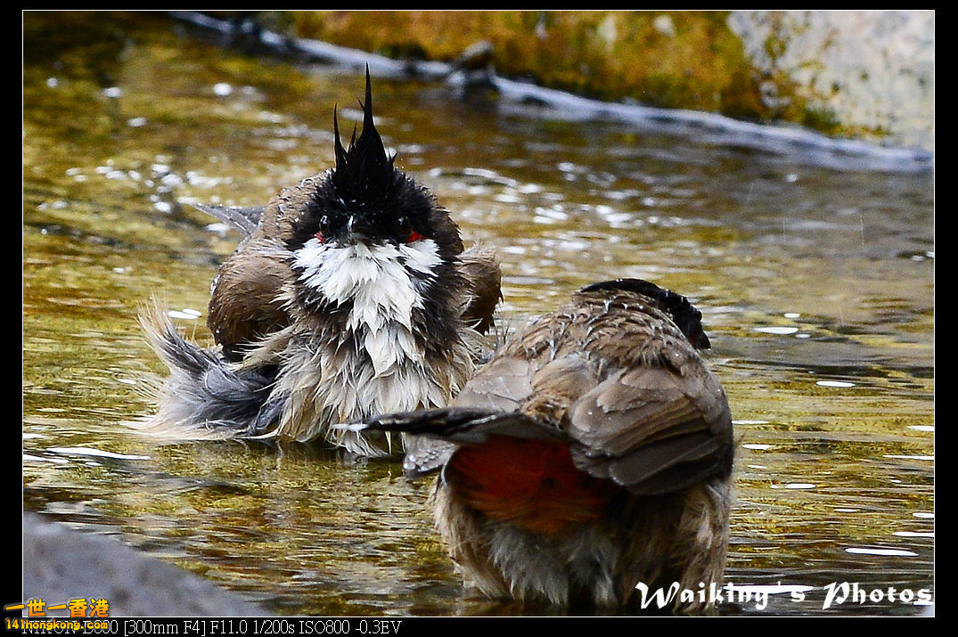 DSC_6456.jpg