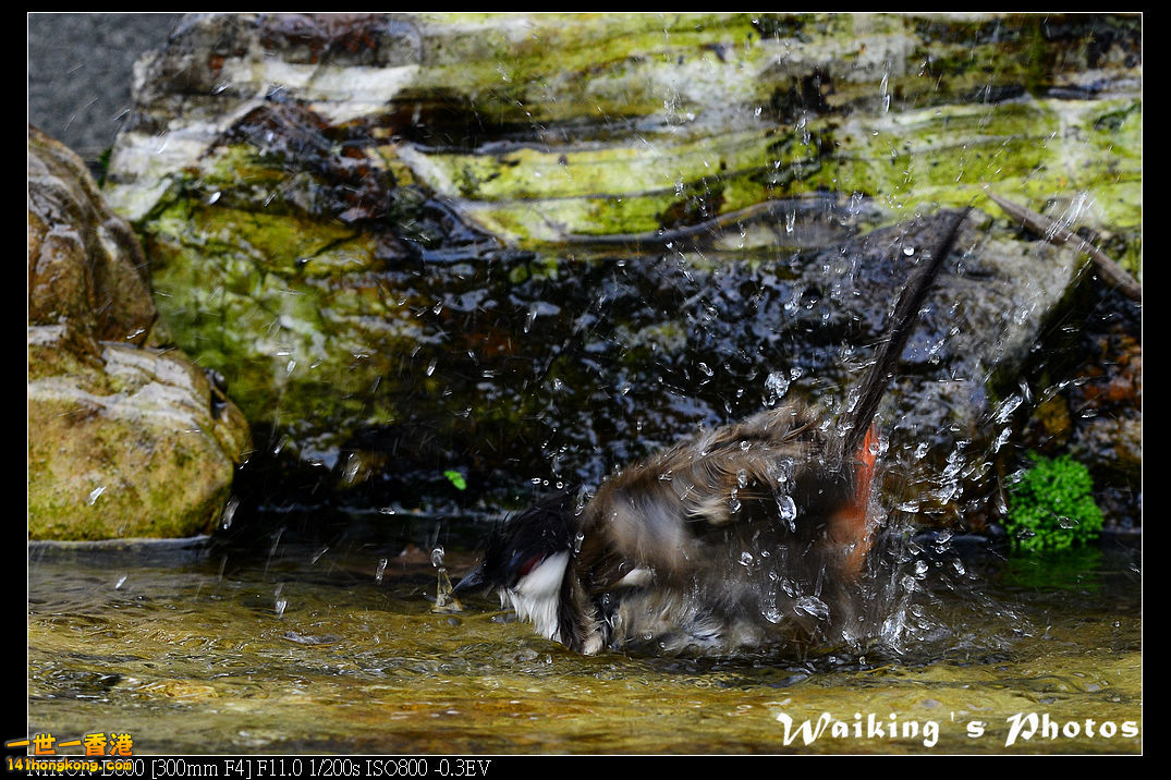 DSC_6467.jpg