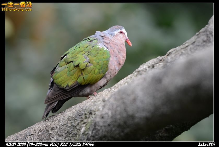 nEO_IMG_DSC_1162.jpg