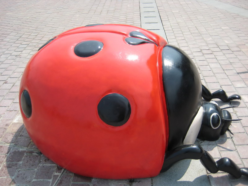 IMG_1811_调整大小.JPG