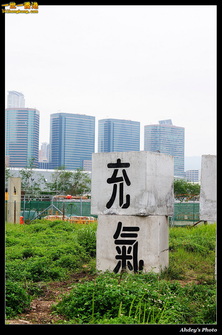 DSC07635-1.jpg